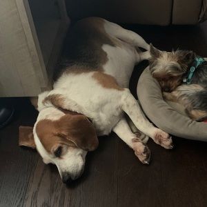 Meet your Posher, Olivia